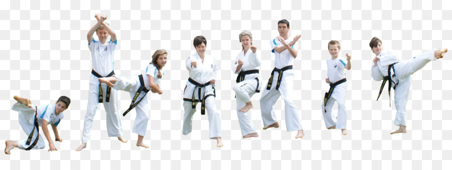 Taekwondo Karate Black belt Social group Team - taekwondo protej png download - 2508*939 - Free Transparent Taekwondo png Download.
