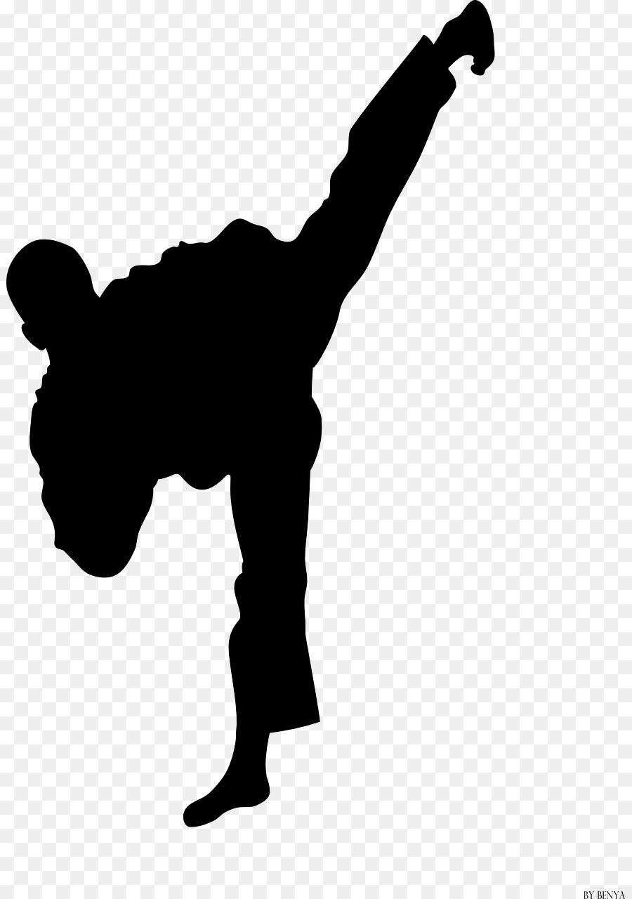 T-shirt World Taekwondo Championships Martial arts Sport - fight png download - 881*1280 - Free Transparent Tshirt png Download.