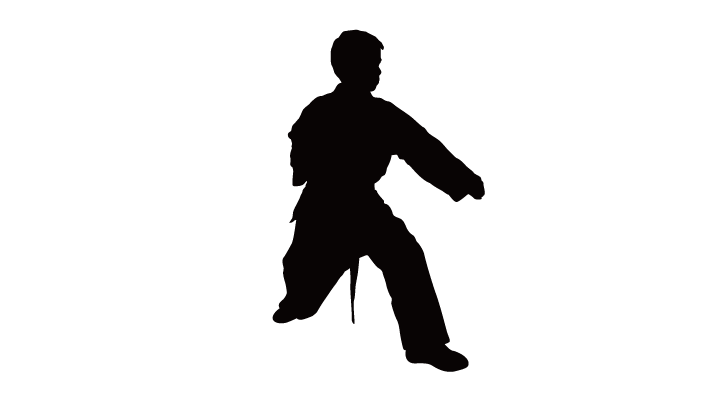 Silhouette Taekwondo Chinese martial arts Karate - Taekwondo silhouette