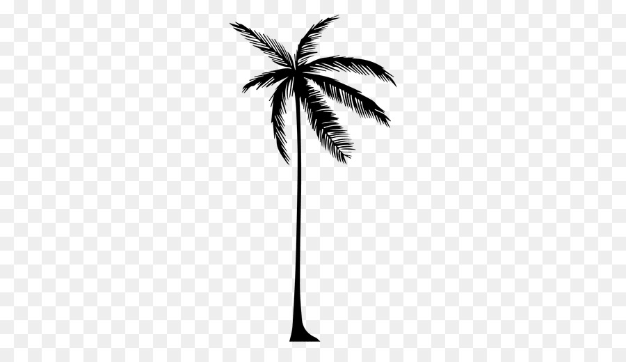 Arecaceae Tree Drawing Silhouette - tall vector png download - 512*512 - Free Transparent Arecaceae png Download.