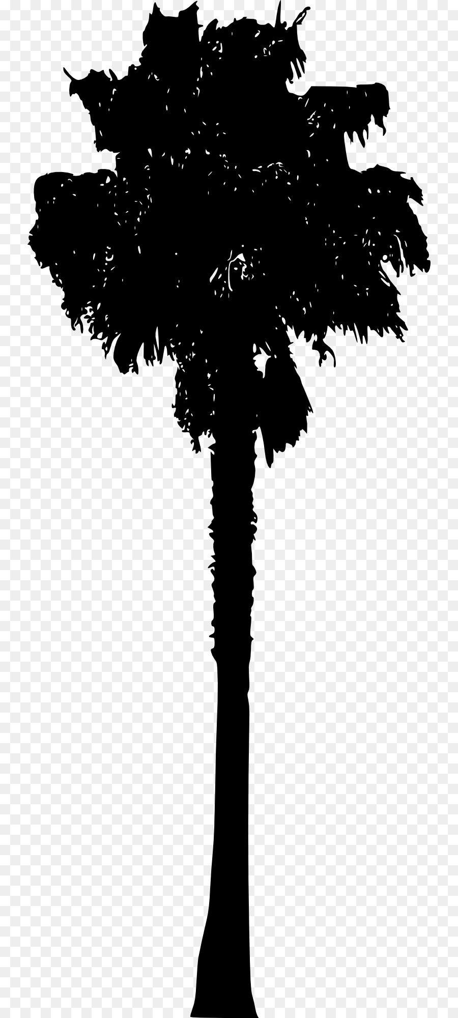 Arecaceae Silhouette - Silhouette png download - 792*2000 - Free Transparent Arecaceae png Download.