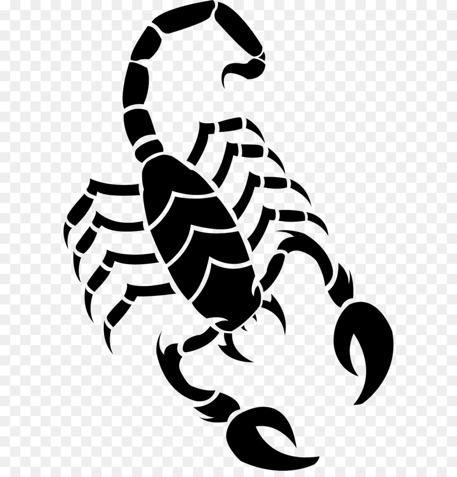 Scorpion Drawing Clip art - Scorpion tattoo silhouette PNG png download - 1469*2097 - Free Transparent Scorpion png Download.