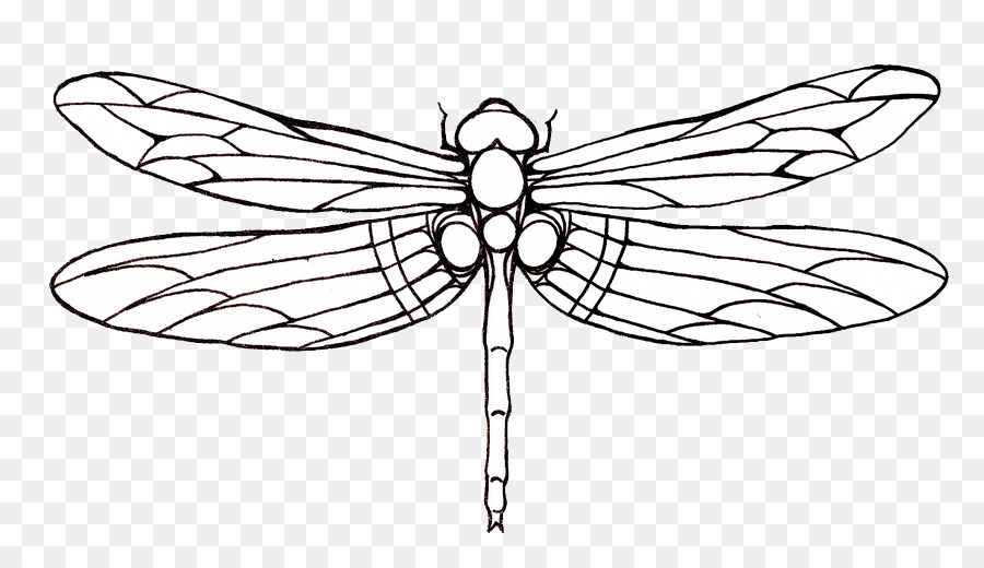 Tattoo Dragonfly Drawing Clip art - Dragonfly Tattoos PNG Transparent Images png download - 900*517 - Free Transparent Tattoo png Download.