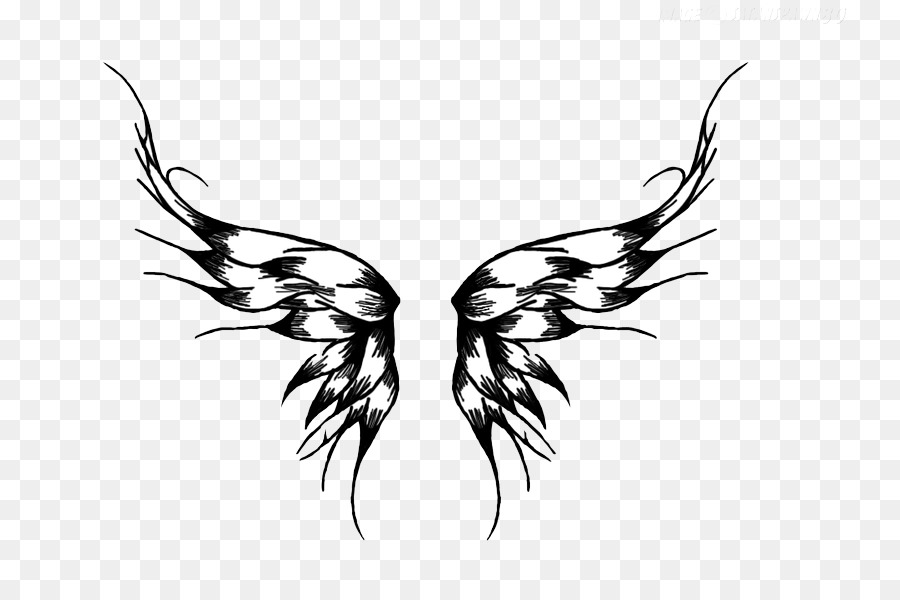 Butterfly Tattoo - Wings Tattoos PNG Transparent Images png download - 800*587 - Free Transparent Butterfly png Download.