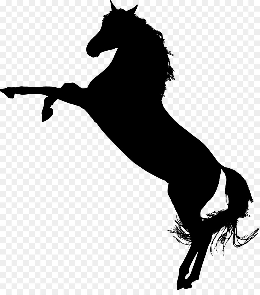 Tennessee Walking Horse Mustang Stallion Mare Clip art - arab png download - 2028*2262 - Free Transparent Tennessee Walking Horse png Download.