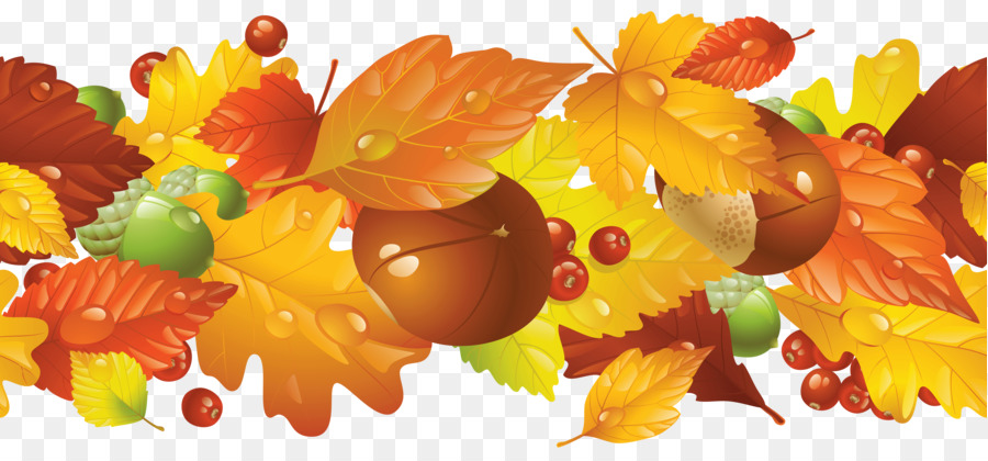 Thanksgiving Autumn Harvest festival Clip art - Free Fall Borders png download - 5706*2658 - Free Transparent Thanksgiving png Download.