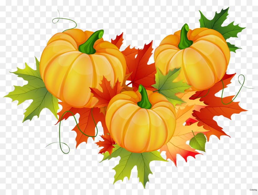 Thanksgiving Cornucopia Clip art - thanksgiving png download - 2313*1717 - Free Transparent Thanksgiving png Download.