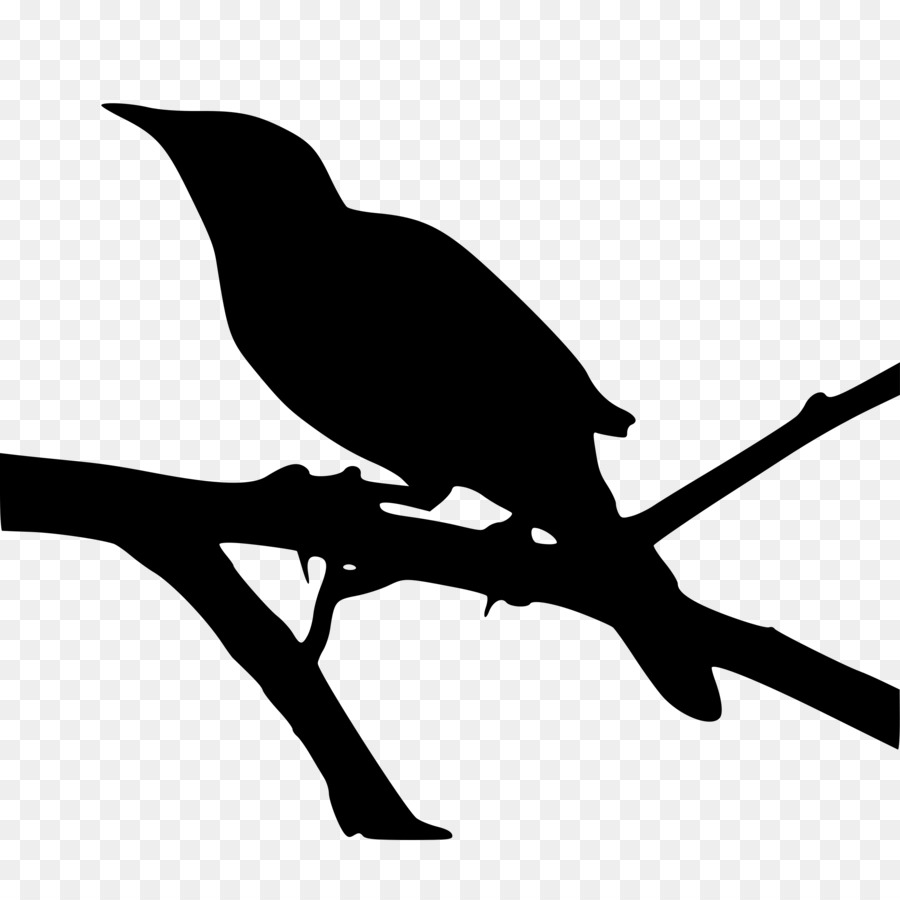 Northern mockingbird To Kill a Mockingbird Clip art - bird silhouette png download - 2400*2400 - Free Transparent Mockingbird png Download.