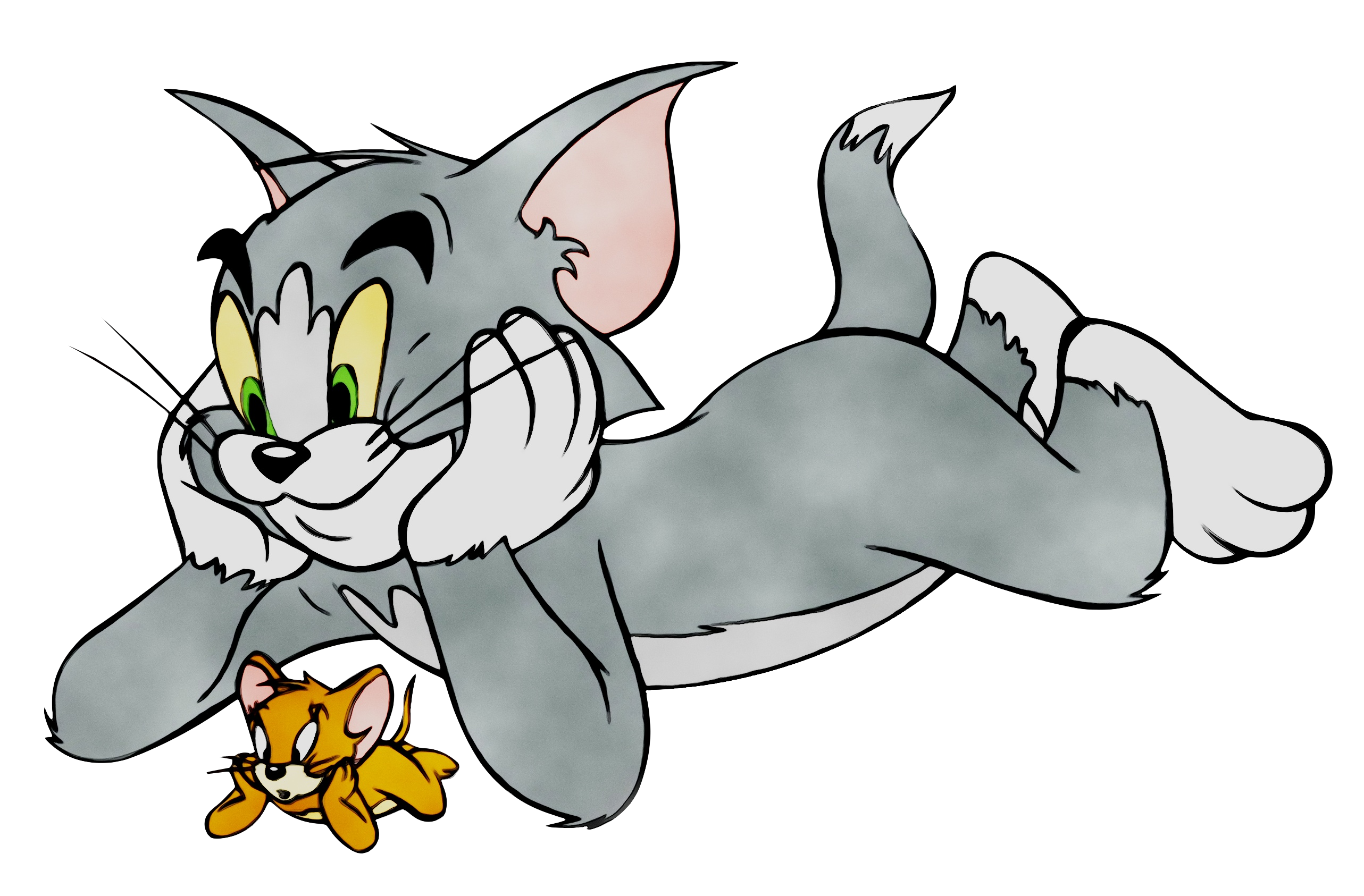 Tom Cat Jerry Mouse Nibbles Tom and Jerry Cartoon - png download -  2565*1686 - Free Transparent Tom Cat png Download. - Clip Art Library