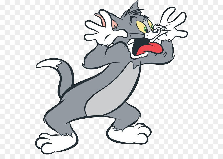 Tom Cat My Talking Tom Jerry Mouse Tom and Jerry - Tom and Jerry PNG png download - 618*622 - Free Transparent Tom Cat png Download.