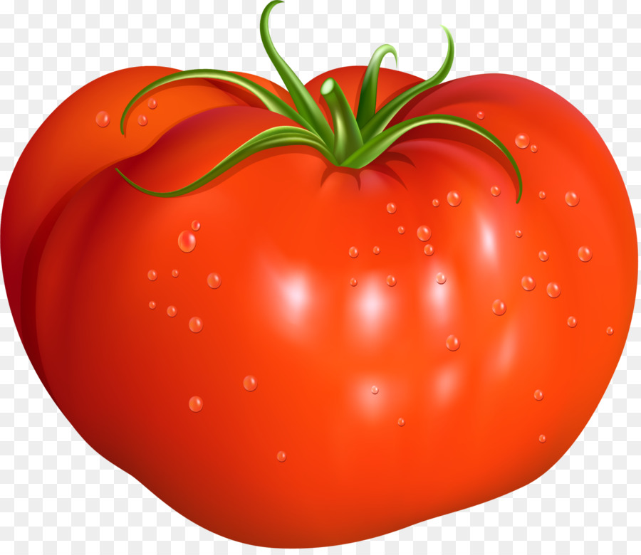 Tomato Red Illustration - Red concise tomato png download - 1500*1297 - Free Transparent Tomato png Download.