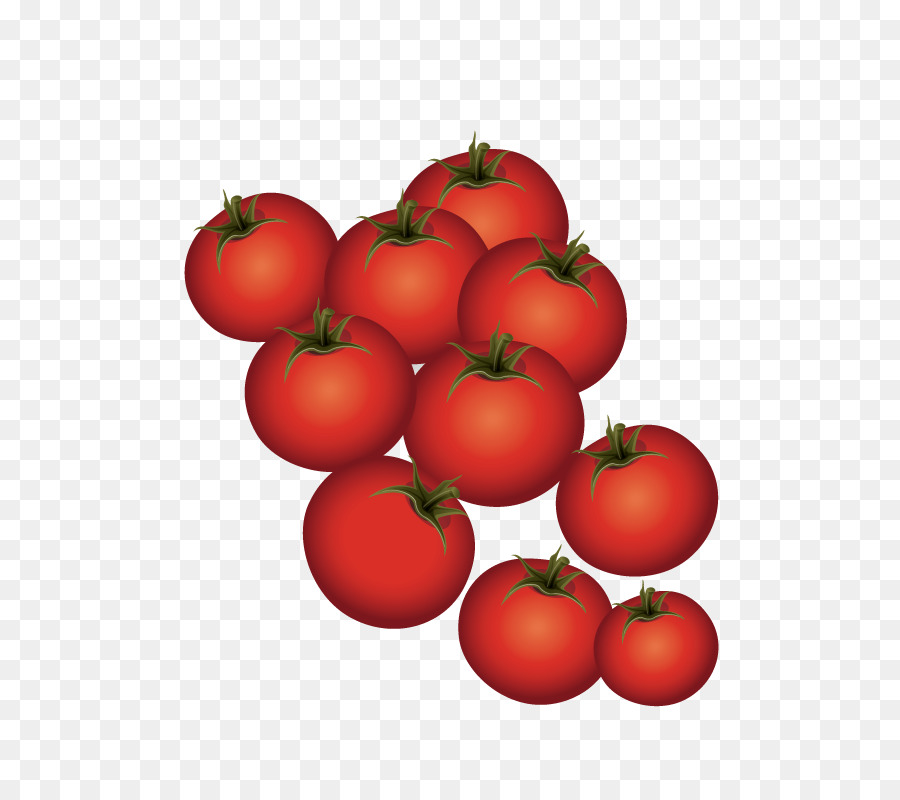 Plum tomato Bush tomato - Ripe tomatoes png download - 612*792 - Free Transparent Plum Tomato png Download.
