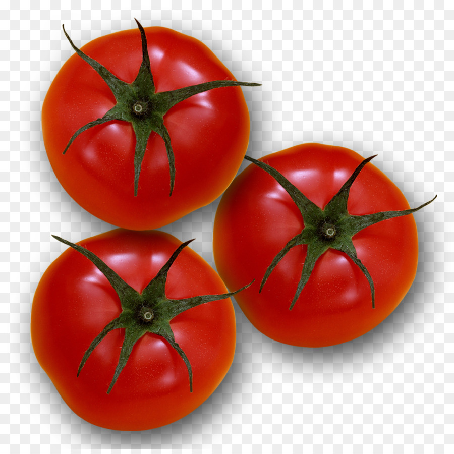 Plum tomato Bush tomato - Tomato overlooking png download - 990*979 - Free Transparent Plum Tomato png Download.