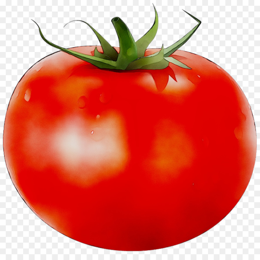 Plum tomato Bush tomato Food Vegetable -  png download - 1121*1098 - Free Transparent Plum Tomato png Download.