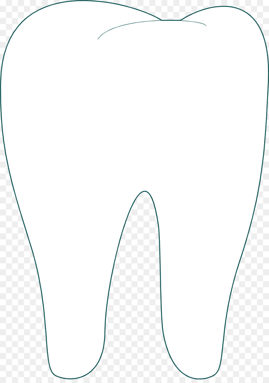 Human tooth Dentistry Clip art - Tooth png download - 958*1350 - Free Transparent  png Download.