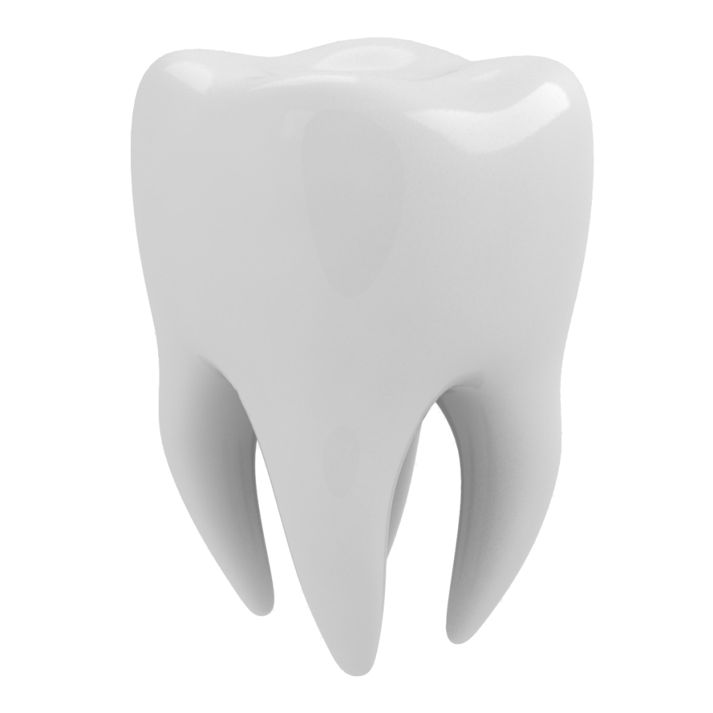 transparent background tooth png
