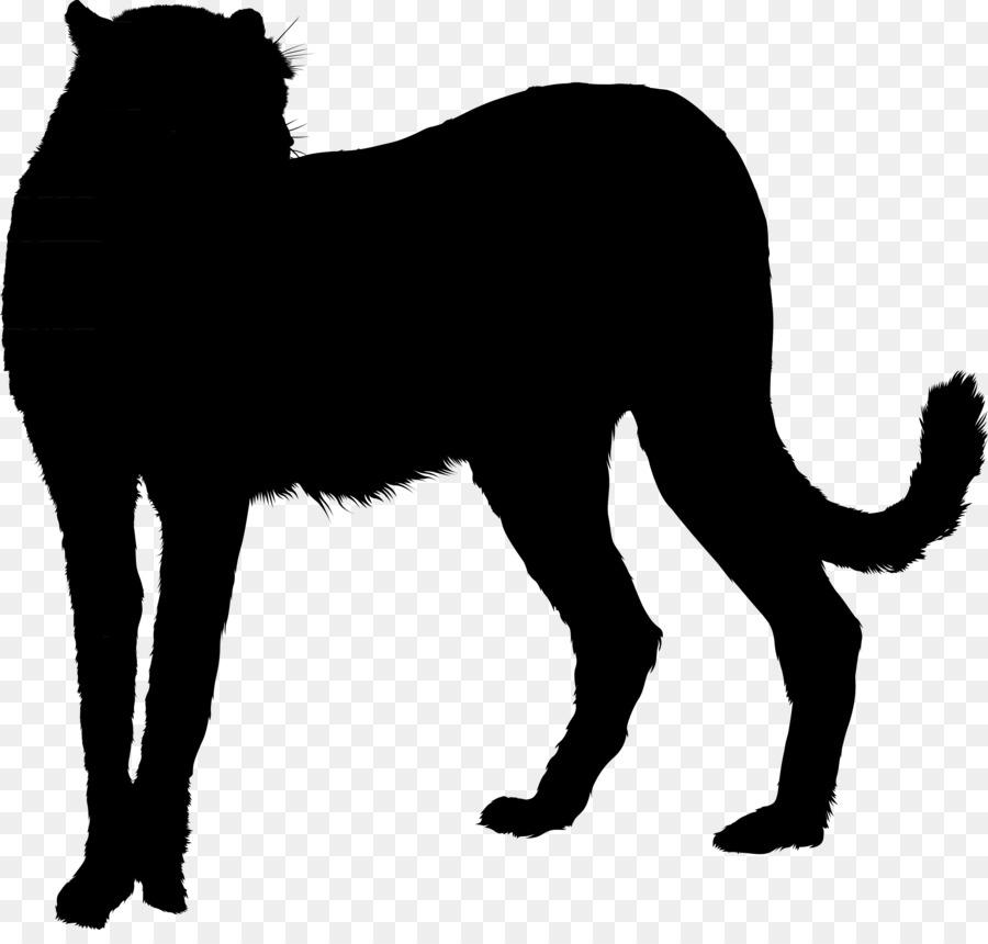Whiskers Black cat Black panther GIF -  png download - 3422*3219 - Free Transparent Whiskers png Download.
