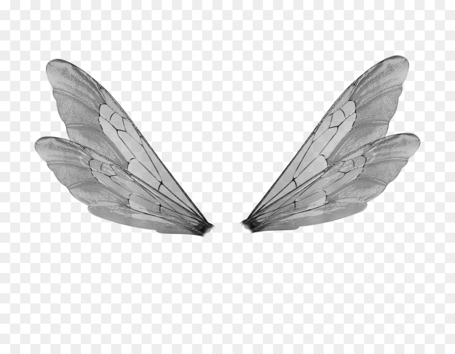 Buffalo wing Fairy DeviantArt - wings png download - 900*689 - Free Transparent Buffalo Wing png Download.