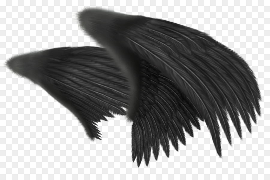 Angel wing Clip art - Black Angel png download - 1024*662 - Free Transparent Wing png Download.