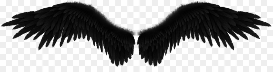 Fallen angel Wing Black - angel png download - 1600*399 - Free Transparent Fallen Angel png Download.