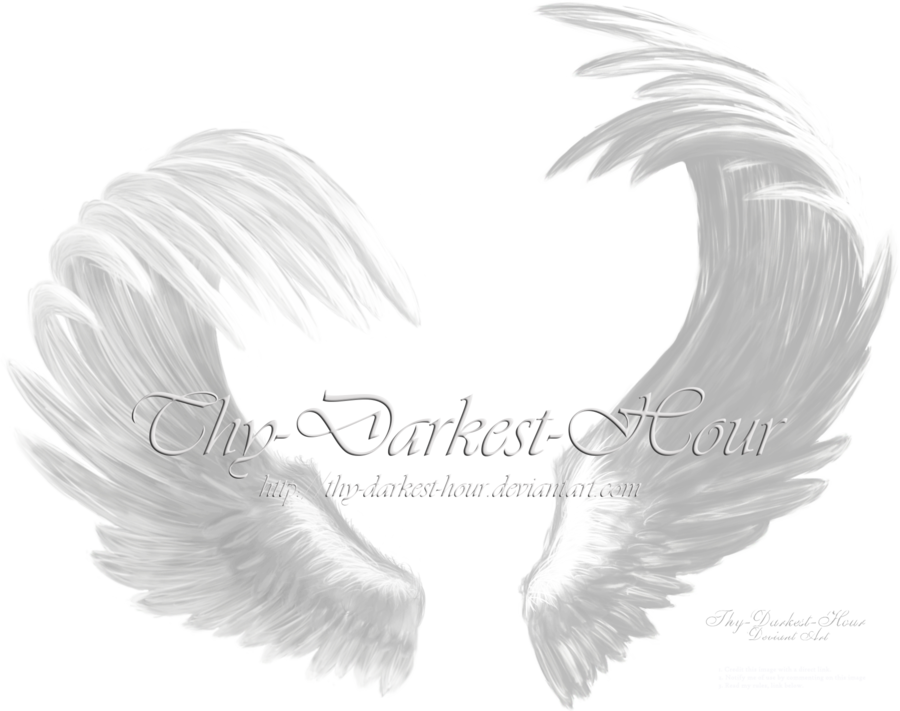 Wing Angel Clip art - angel wing png download - 900*711 - Free