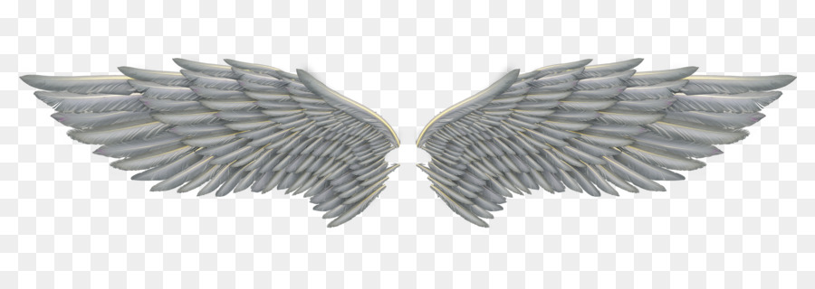Clip art - Angel Wings Png png download - 900*320 - Free Transparent Free Content png Download.