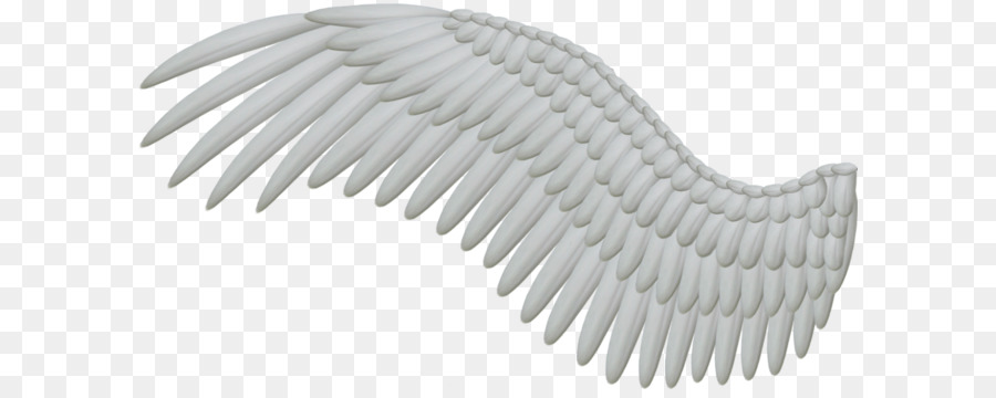 Angel wing Feather Clip art - Wings PNG png download - 1024*554 - Free Transparent Download png Download.