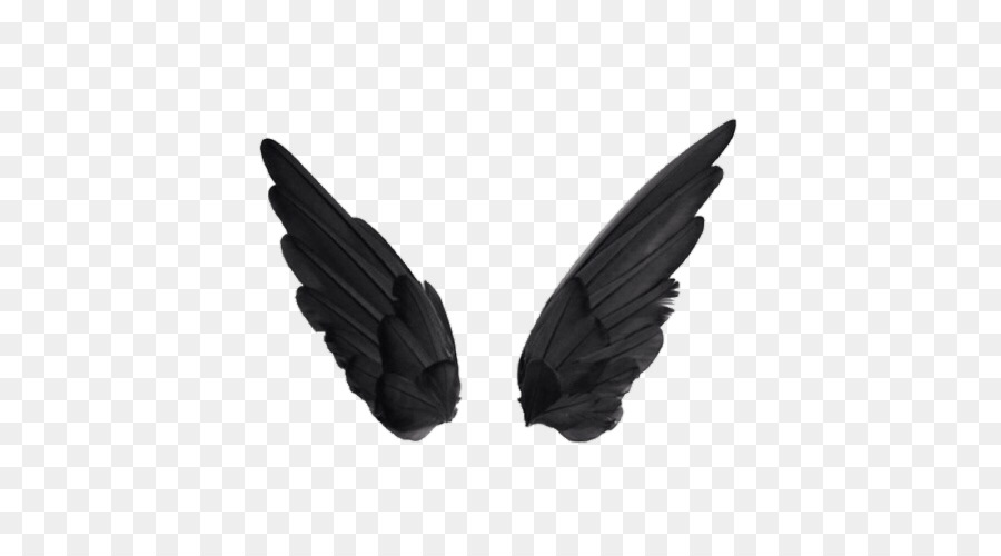 Buffalo wing Pixel Wings - black wings png download - 500*500 - Free Transparent Buffalo Wing png Download.