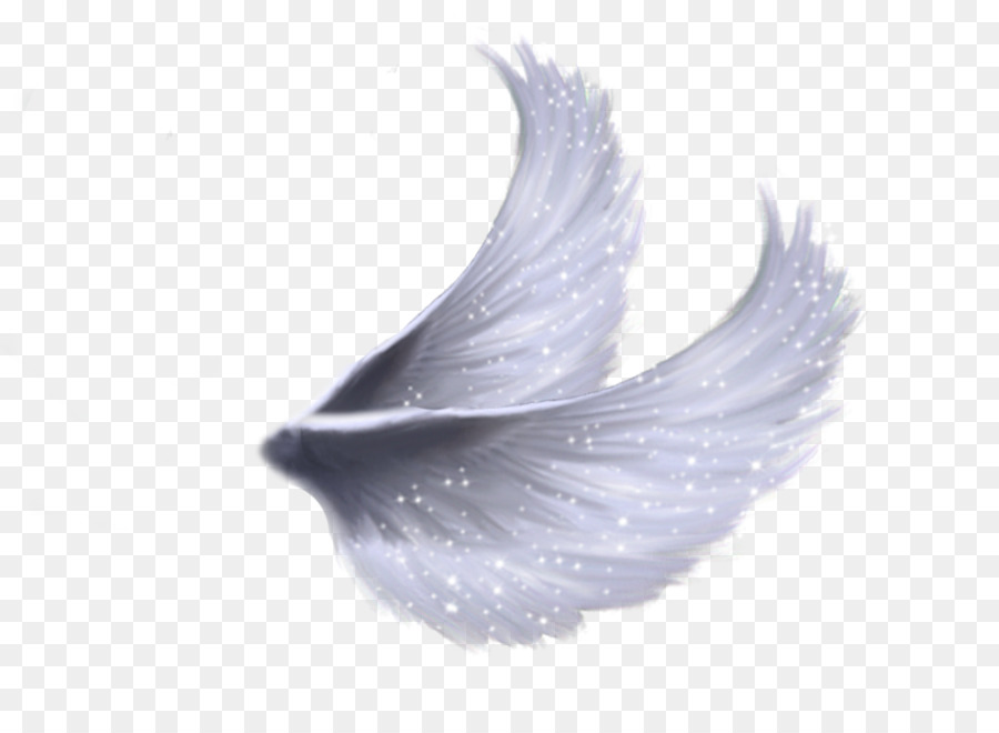 Angel wing Feather - frida kalo png download - 1024*746 - Free Transparent Wing png Download.
