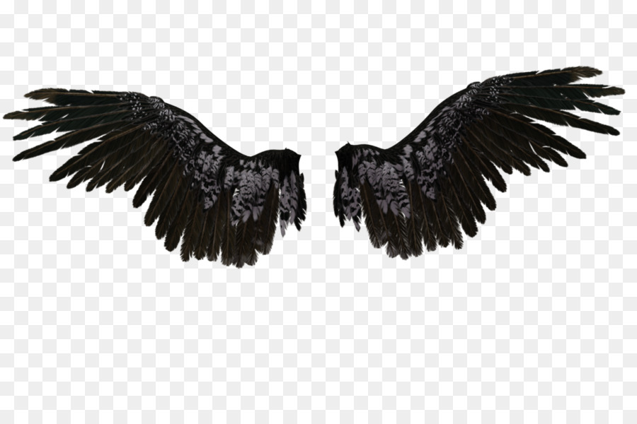 Castiel Drawing Wings Angel - angel wings png download - 1024*673 - Free Transparent Castiel png Download.