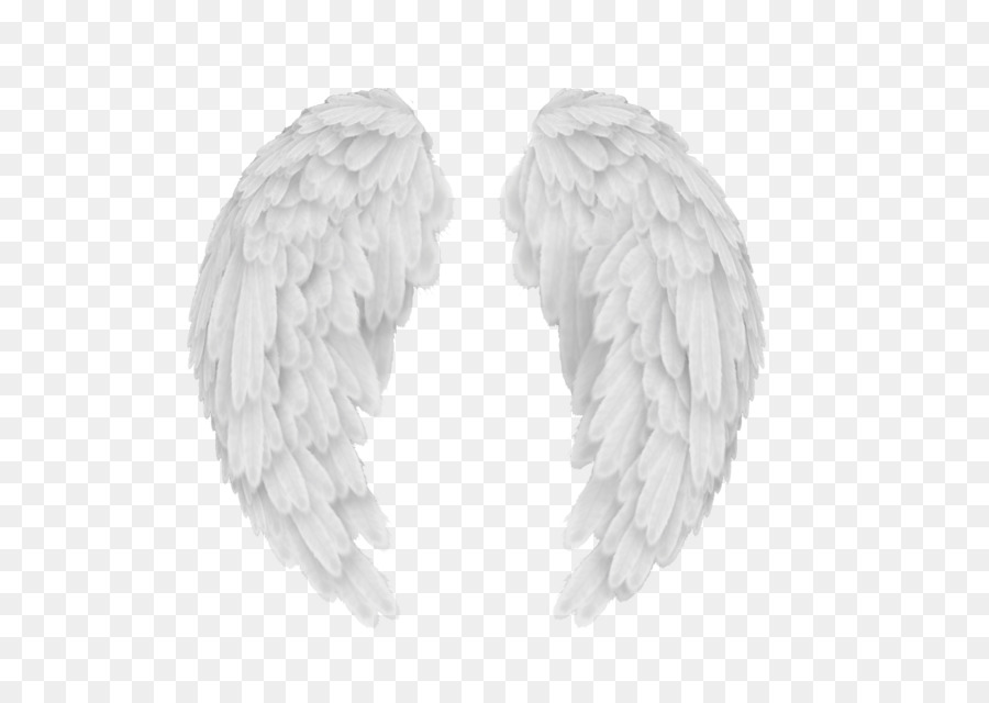 Angel wings Scalable Vector Graphics AutoCAD DXF Clip art - Angel Wings Png png download - 1280*904 - Free Transparent Angel Wings png Download.