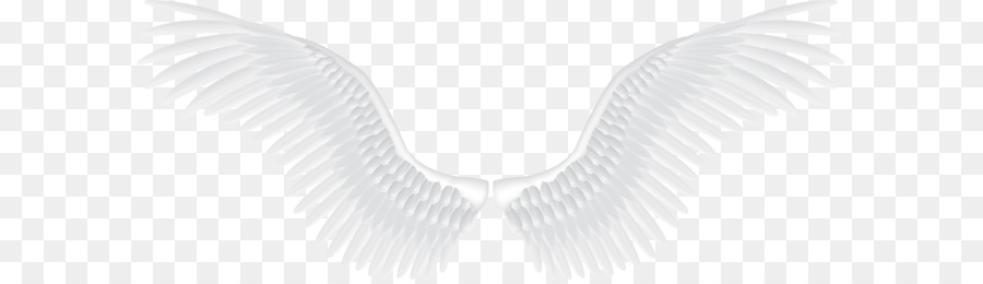 Download Angel Pattern - White angel wings PNG png download - 2104*832 - Free Transparent Black And White png Download.