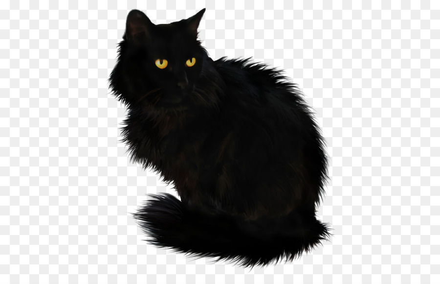 Black cat Clip art - gif png download - 533*564 - Free Transparent Cat png Download.