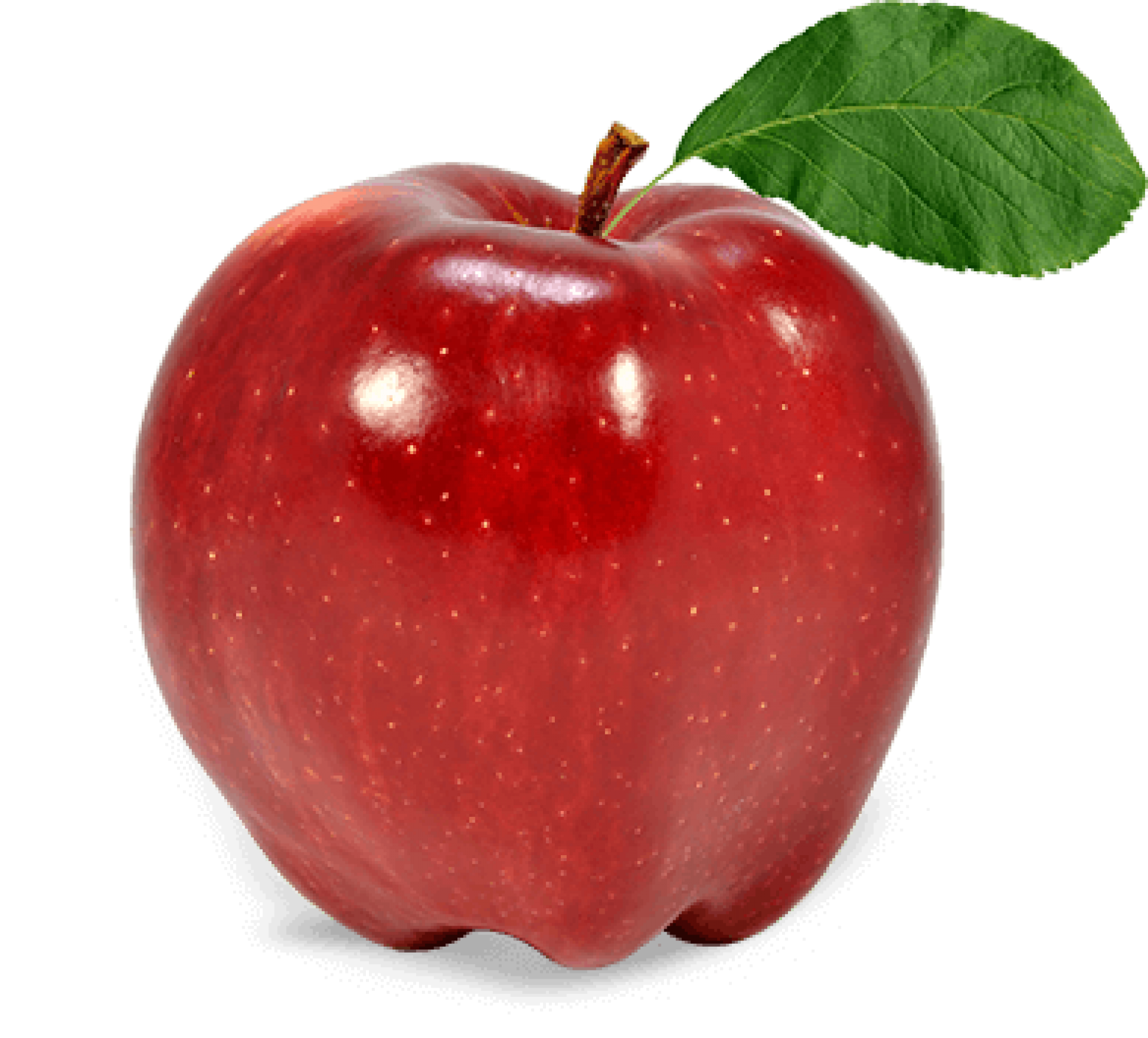 apple-fruit-apple-png-download-1920-1737-free-transparent-apple