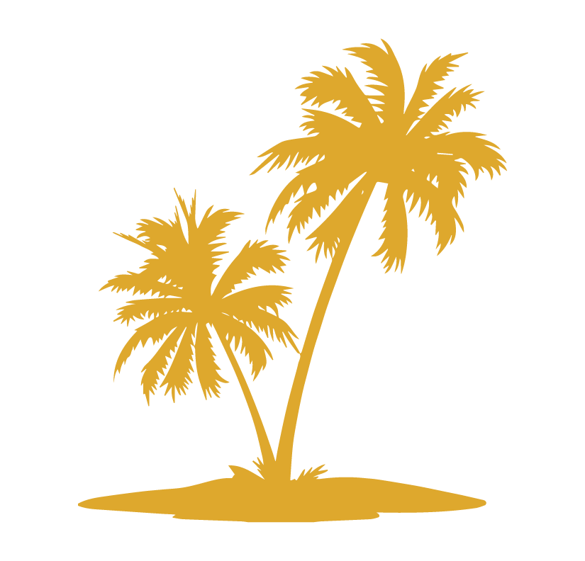 palm tree illustration free download