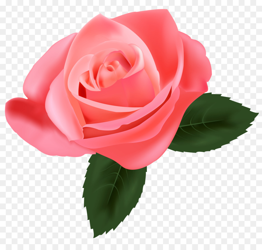 Rose Pink Flower Clip art - Pink Rose PNG Pic png download - 4000*3747 - Free Transparent Rose png Download.