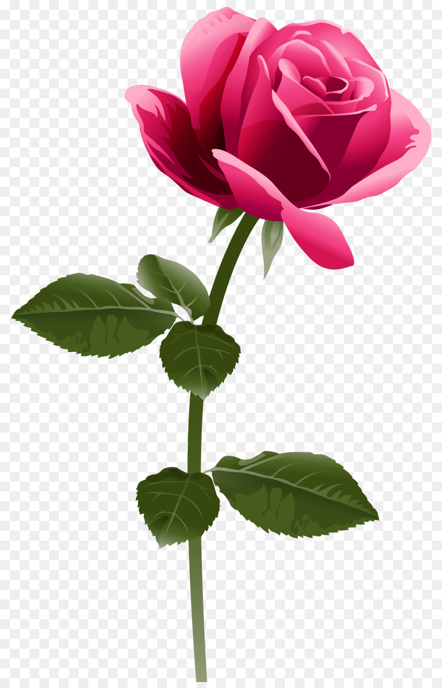 Rose Pink flowers Clip art - fuchsia frame png download - 5187*8000 - Free Transparent Rose png Download.