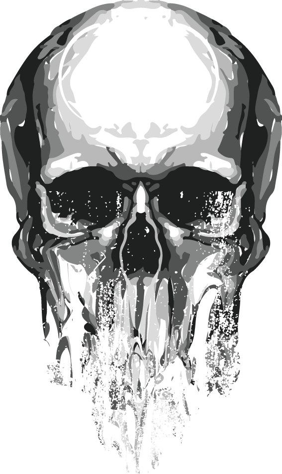 Skull Euclidean Vector Skull Png Download 567952 Free - vrogue.co