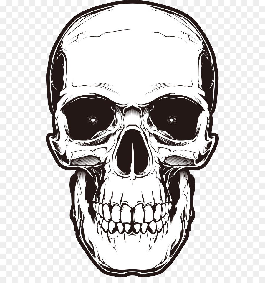 Human skull symbolism - skull tattoo png download - 587*941 - Free Transparent Skull png Download.
