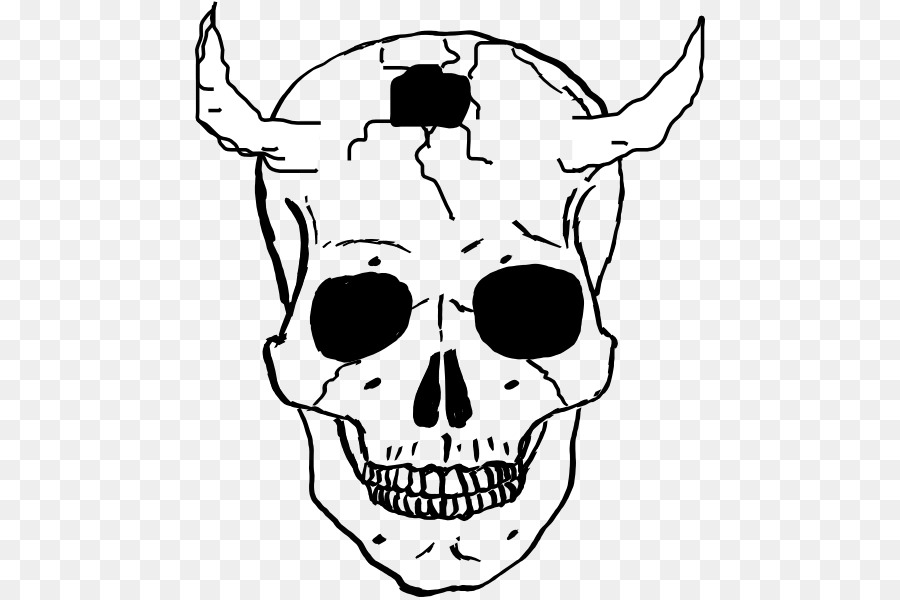 Skull Human skeleton Drawing Clip art - vector skull png download - 510*597 - Free Transparent Skull png Download.