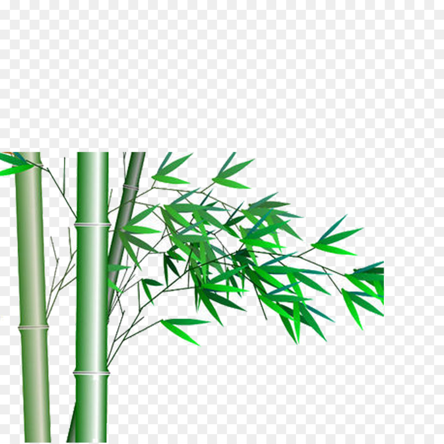 Bamboo Icon - bamboo png download - 2953*2953 - Free Transparent Bamboo png Download.
