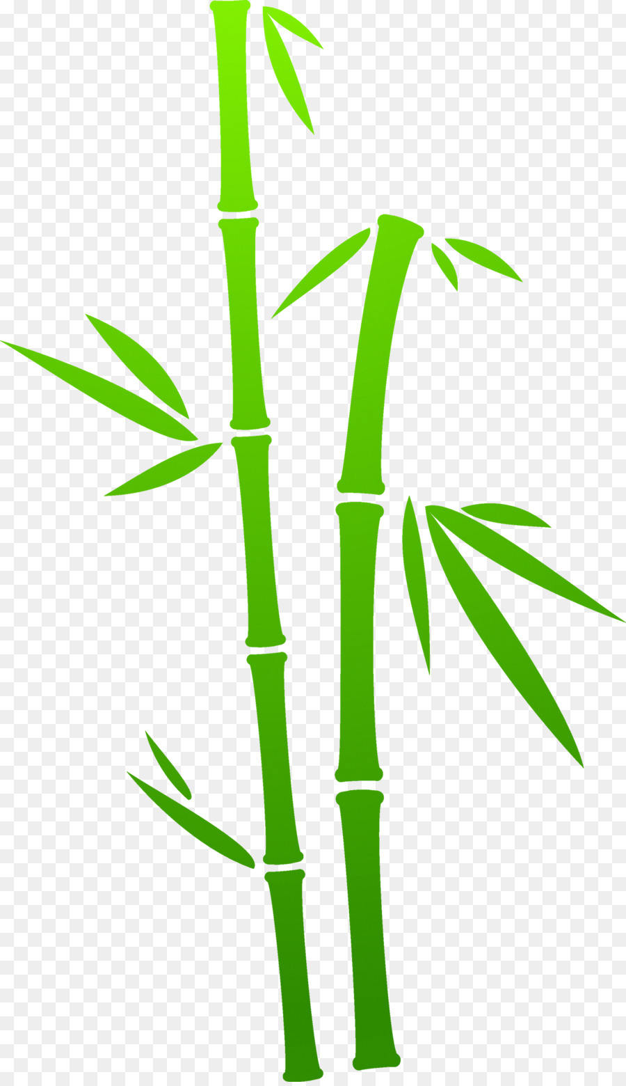 Bamboo Painting Green - Green Bamboo png download - 1300*2244 - Free Transparent Bamboo png Download.