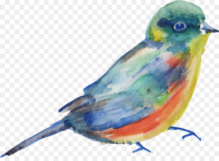 Bird Parrot Transparent Watercolor Watercolor painting Parakeet - birds png download - 1281*922 - Free Transparent Bird png Download.