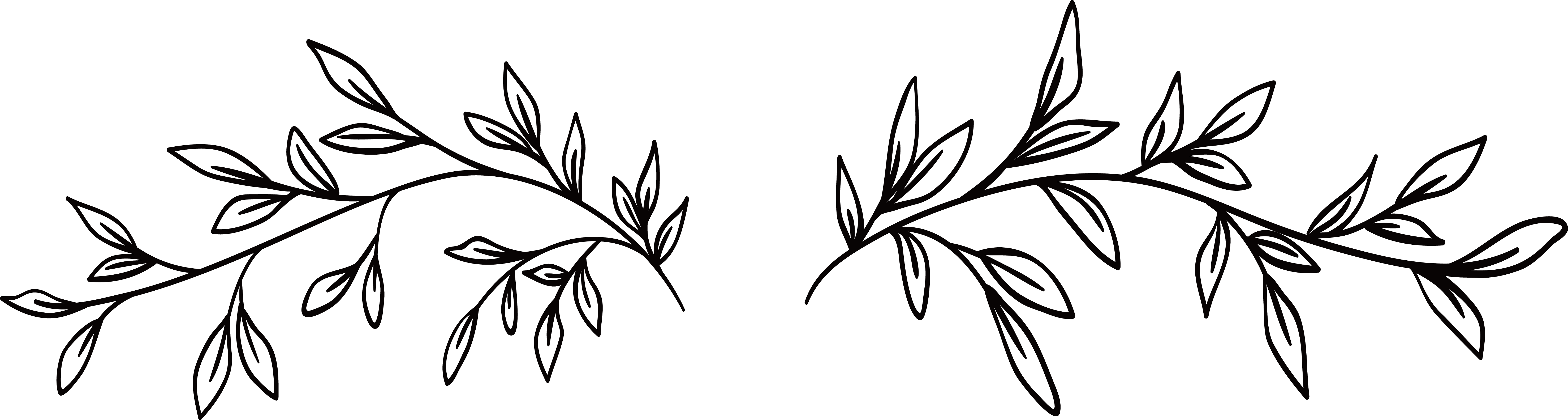 26+ Transparent Background Floral Border Png Black And White Background