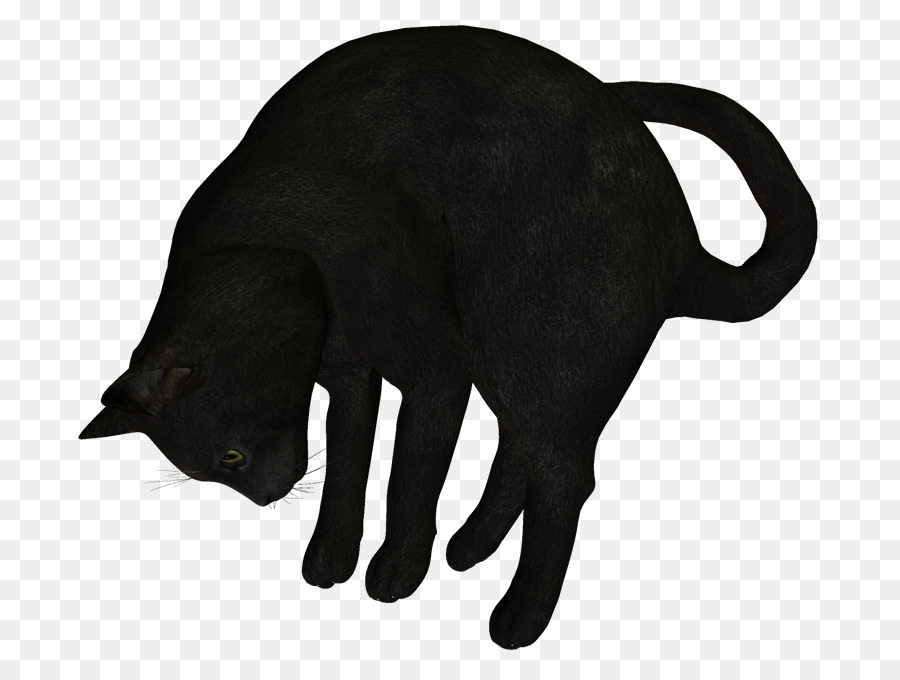Black cat Clip art - Cat png download - 800*664 - Free Transparent Black Cat png Download.