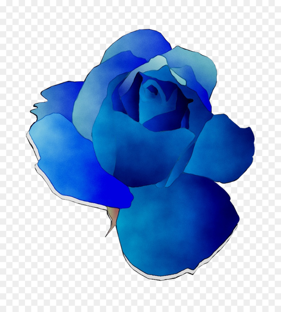 Blue rose Garden roses Cut flowers -  png download - 1034*1141 - Free Transparent Blue Rose png Download.