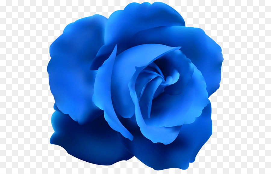 Blue rose Clip art - blue flower png download - 2175*2400 - Free