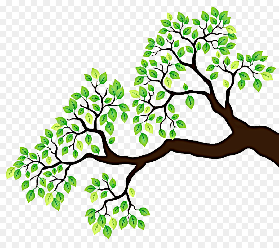 Branch Tree Drawing Clip art - branches clipart png download - 950*835 - Free Transparent Branch png Download.
