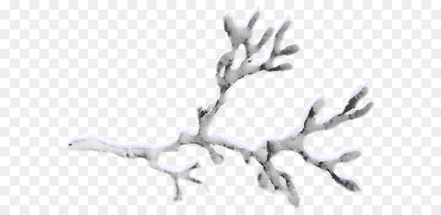 Snow Twig - Snow-covered branches png download - 1745*1178 - Free Transparent Branch png Download.