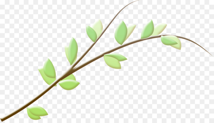 Branch Leaf Twig - recycled png download - 1600*916 - Free Transparent Branch png Download.